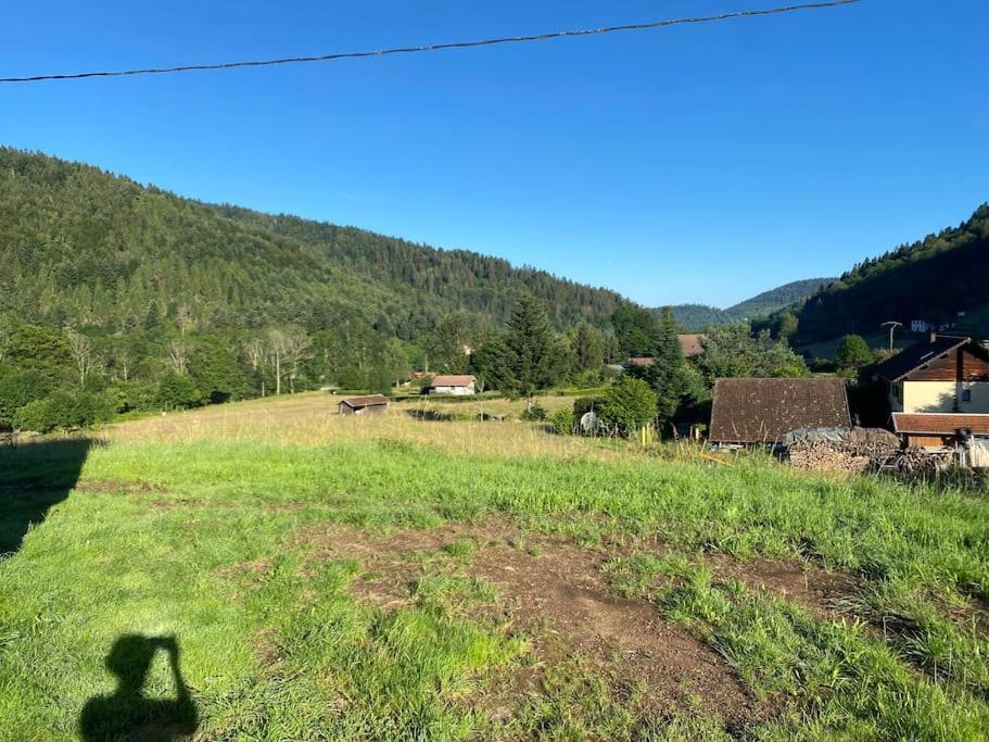 Appartement 5 Personnes Avec Espace Plein Air Saint-Maurice-sur-Moselle Exterior photo
