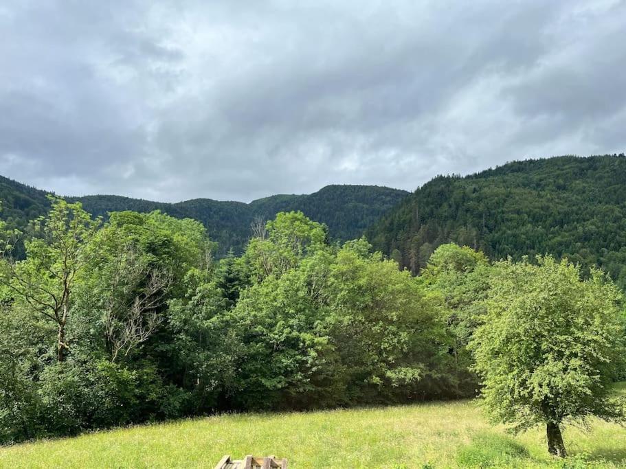 Appartement 5 Personnes Avec Espace Plein Air Saint-Maurice-sur-Moselle Exterior photo
